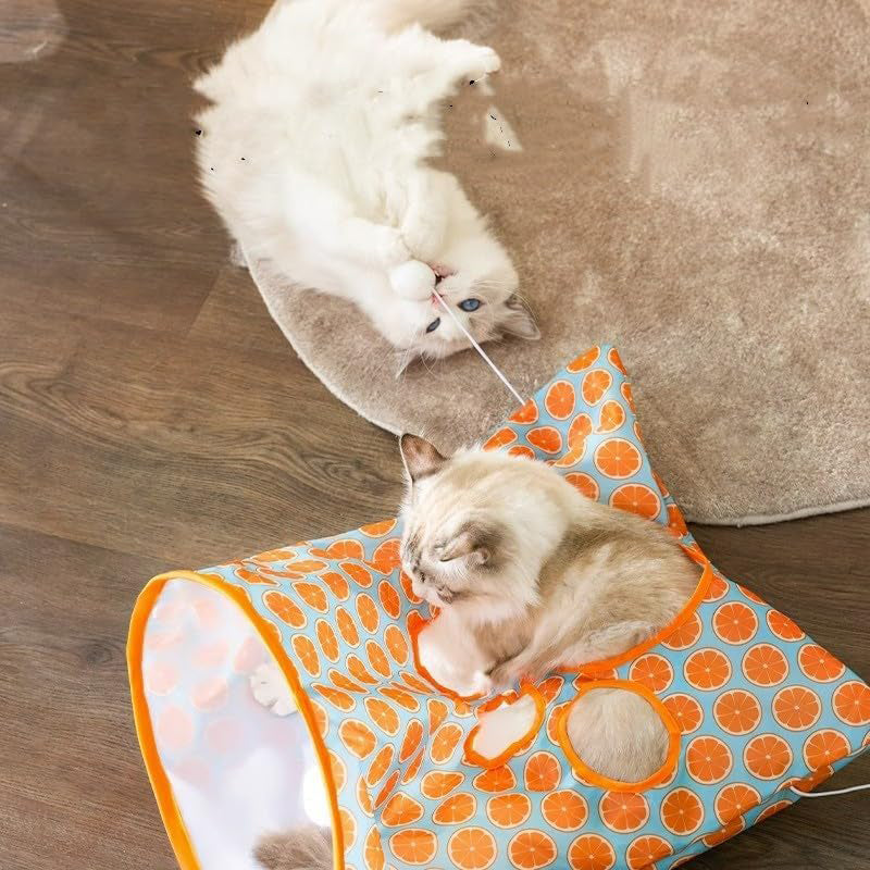 Avtoit | Cat Tunnel Bag