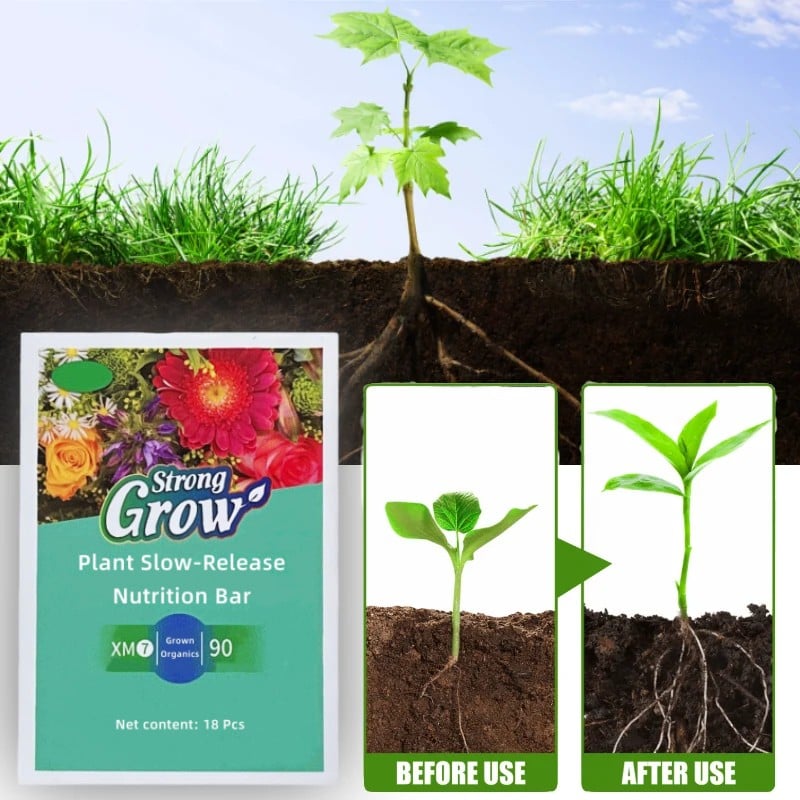 Avtoit | Plant fertilizer sticks – Long lasting fertilizer for healthy growth