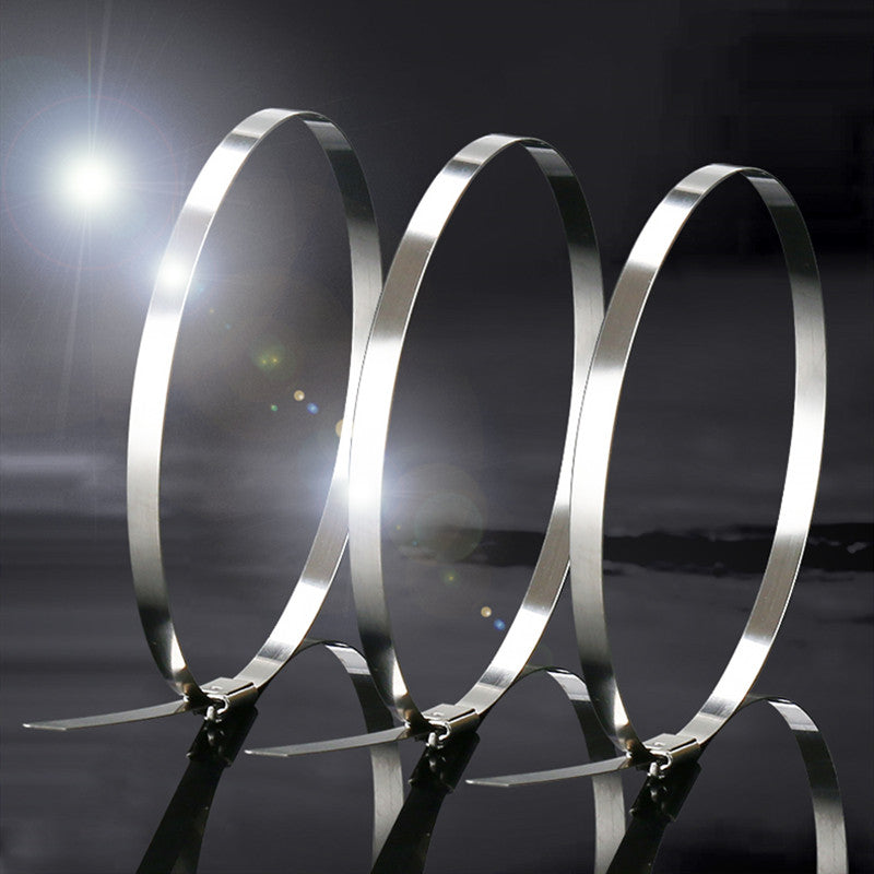 Avtoit | Multi-Purpose Stainless Steel Self-Locking Cable TiesÔºå for Wrapping, Fence, Outdoor, and Canopy (100pcs)