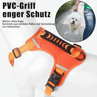 Avtoit | No Pull Dog Harness for Pets