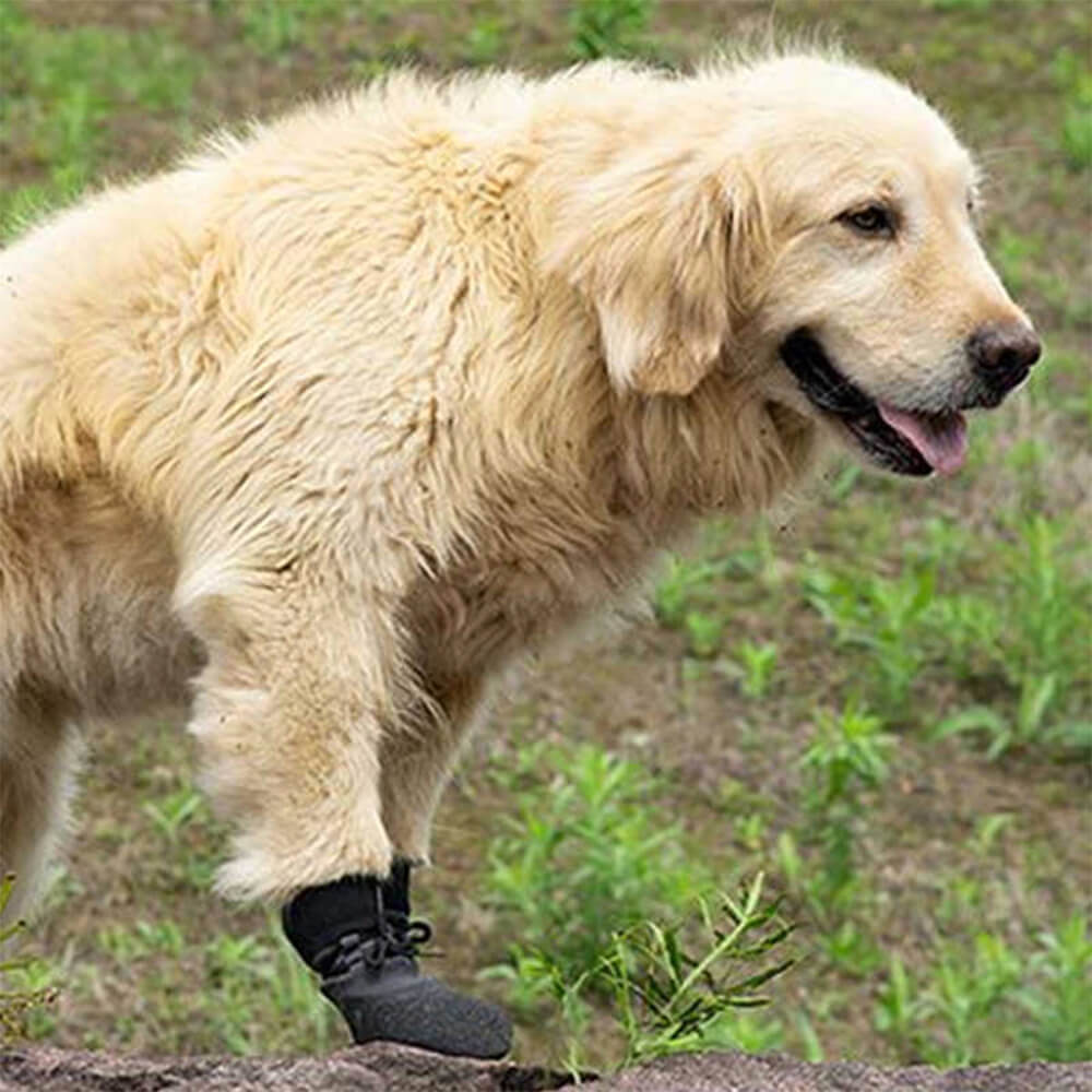 Avtoit | Outdoor waterproof breathable hiking running non-slip dog shoes