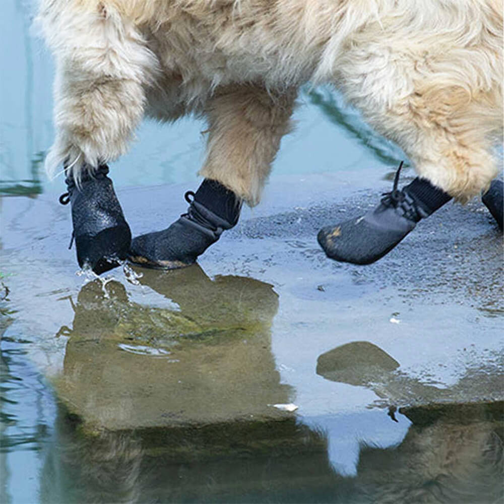 Avtoit | Outdoor waterproof breathable hiking running non-slip dog shoes