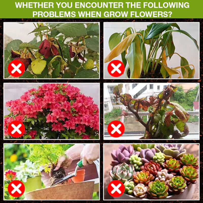 Avtoit | Plant Growth Enhancer Supplement