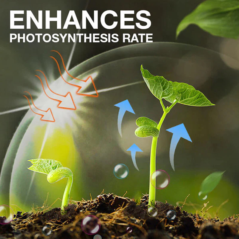 Avtoit | Plant Growth Enhancer Supplement
