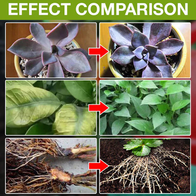 Avtoit | Plant Growth Enhancer Supplement
