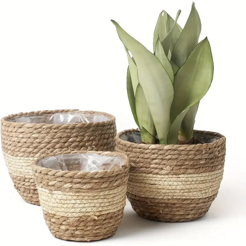 Avtoit | Decorative plant baskets made of seagrass in a set of 3 – Handwoven flower pots with foil insert