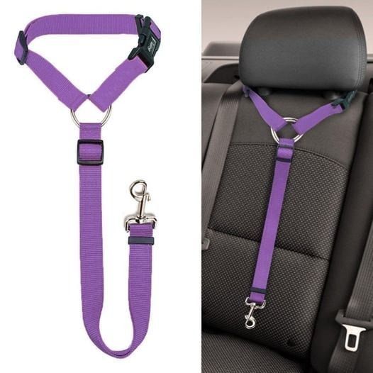 Avtoit | Adjustable Car Dog Leash