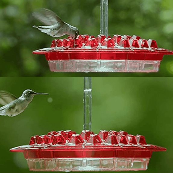 Avtoit | Ant Proof Hummingbird Feeder | 30 Feeding Ports, UV Resistant & Ideal for Outdoor Bird Watching