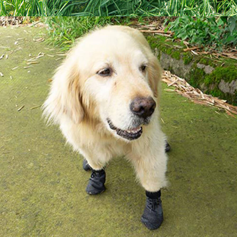 Avtoit | Outdoor waterproof breathable hiking running non-slip dog shoes