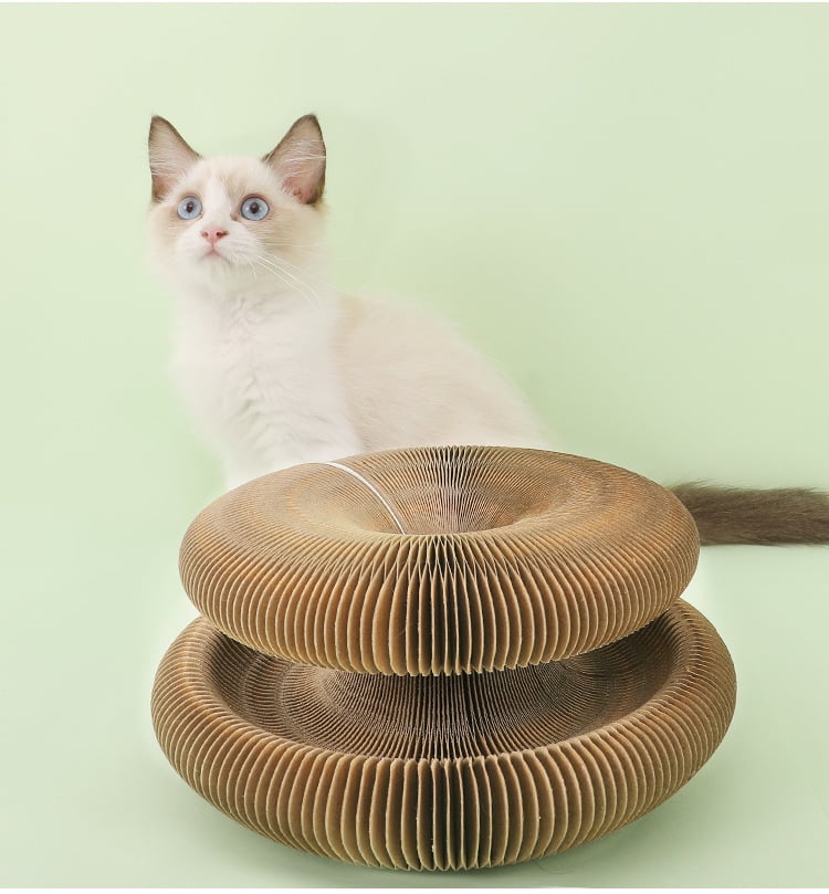 Avtoit | Magic Cat Scratch Board(with ball )
