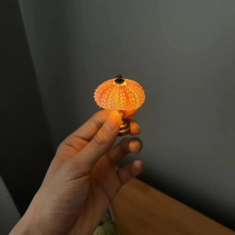 Avtoit | LumiCraft – Unique DIY table lamp with natural sea shell for a cozy décor