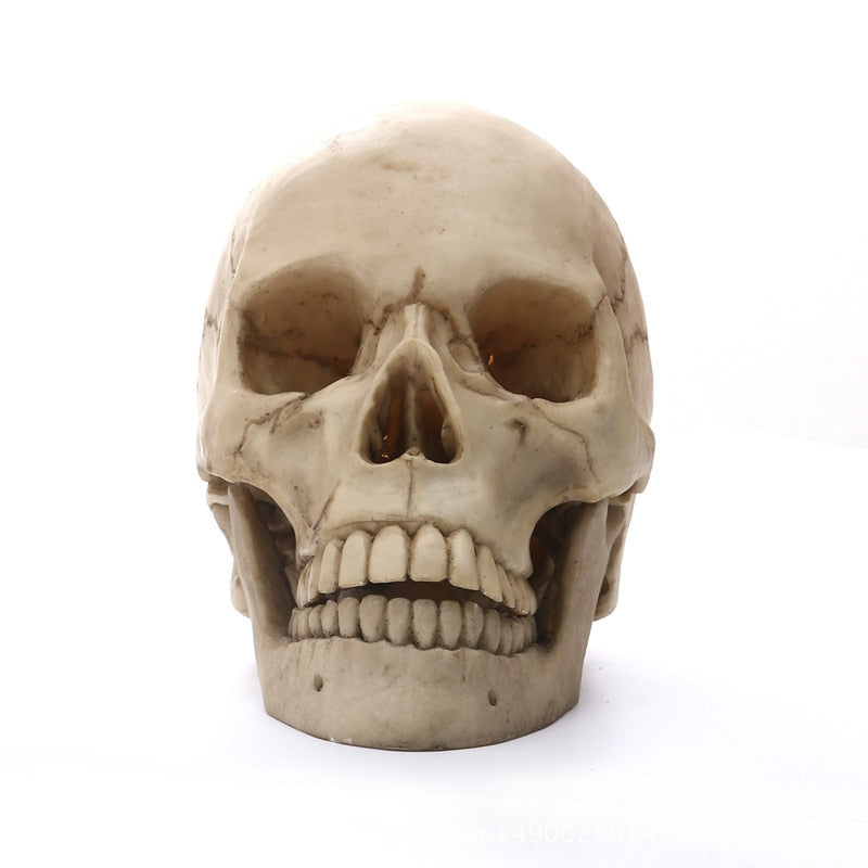 Avtoit | 1:1 Human Head Skull Statue for Home Decor Resin Figures Halloween Decoration Sculpture Medical Teaching Sketch Model Craft