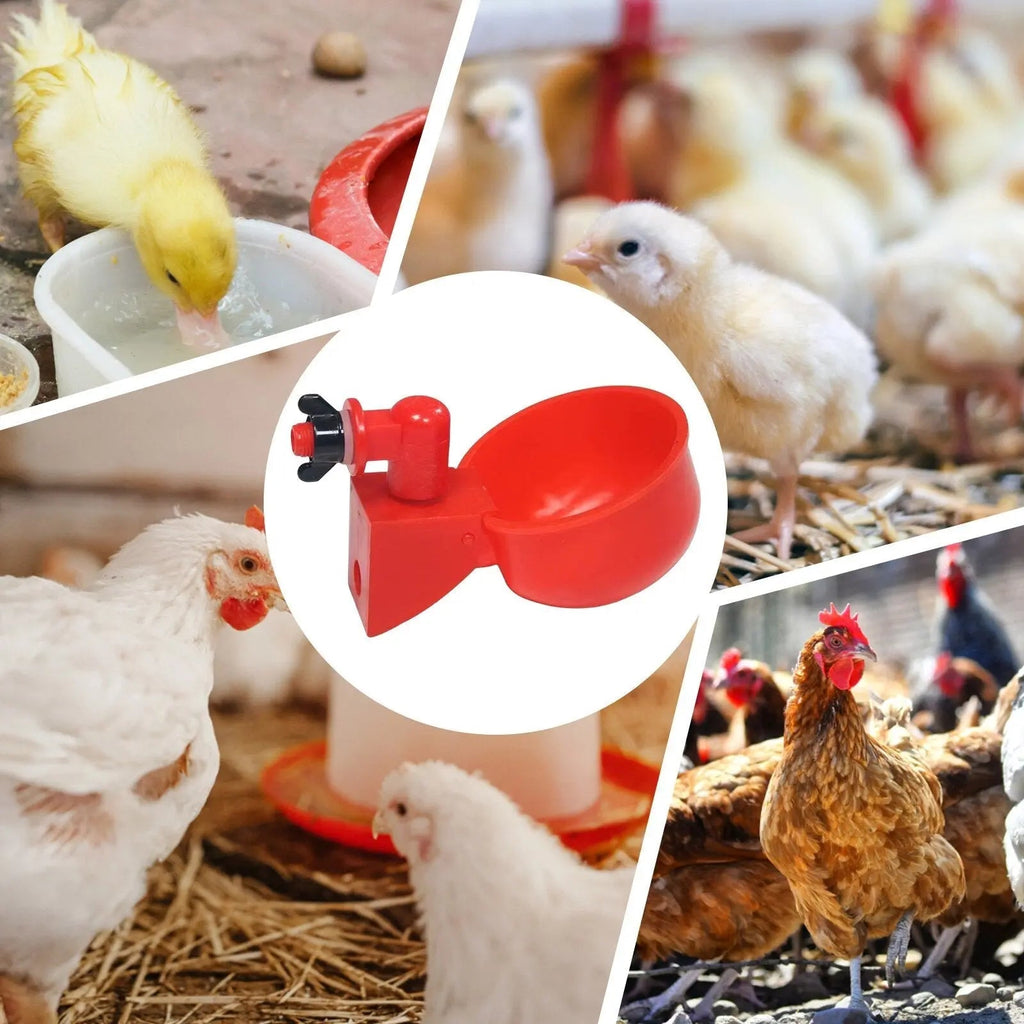 Avtoit | 10 Piece Automatic Drinking Cups for Poultry – For Fresh Water Around the Clock