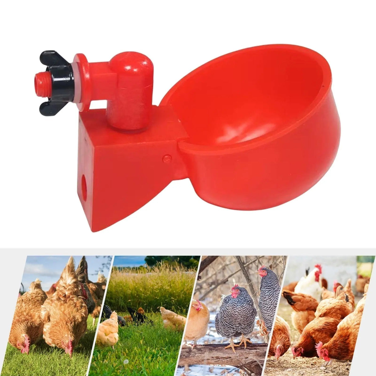 Avtoit | 10 Piece Automatic Drinking Cups for Poultry – For Fresh Water Around the Clock