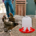 Avtoit | 10 Piece Automatic Drinking Cups for Poultry – For Fresh Water Around the Clock