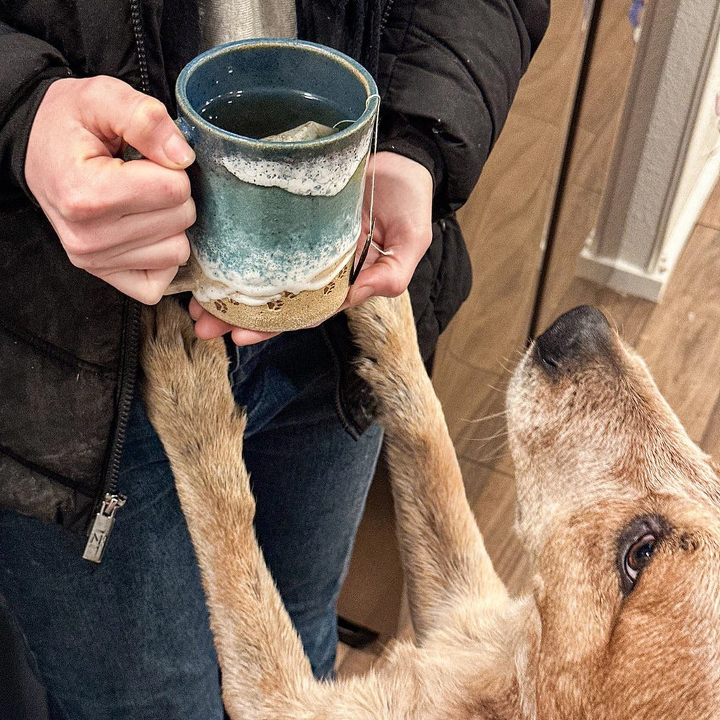 Avtoit | Paw Print Ocean Coastline Mug