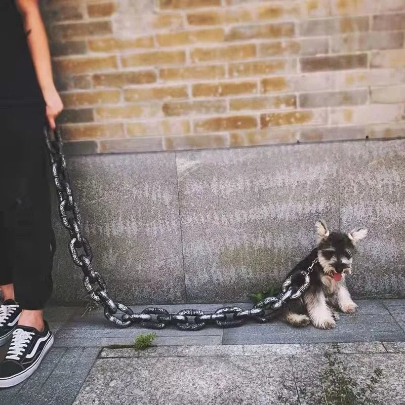 Avtoit | Funny Large Dog Collar