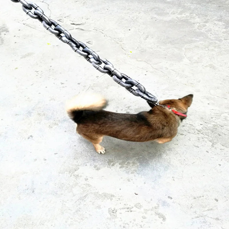 Avtoit | Funny Large Dog Collar