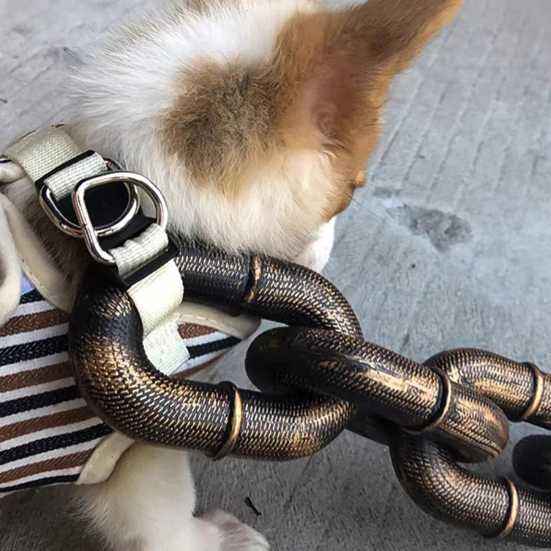 Avtoit | Funny Large Dog Collar