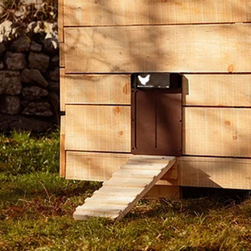 Avtoit | Automatic Chicken Pen Hen Coop Poultry Door Opener