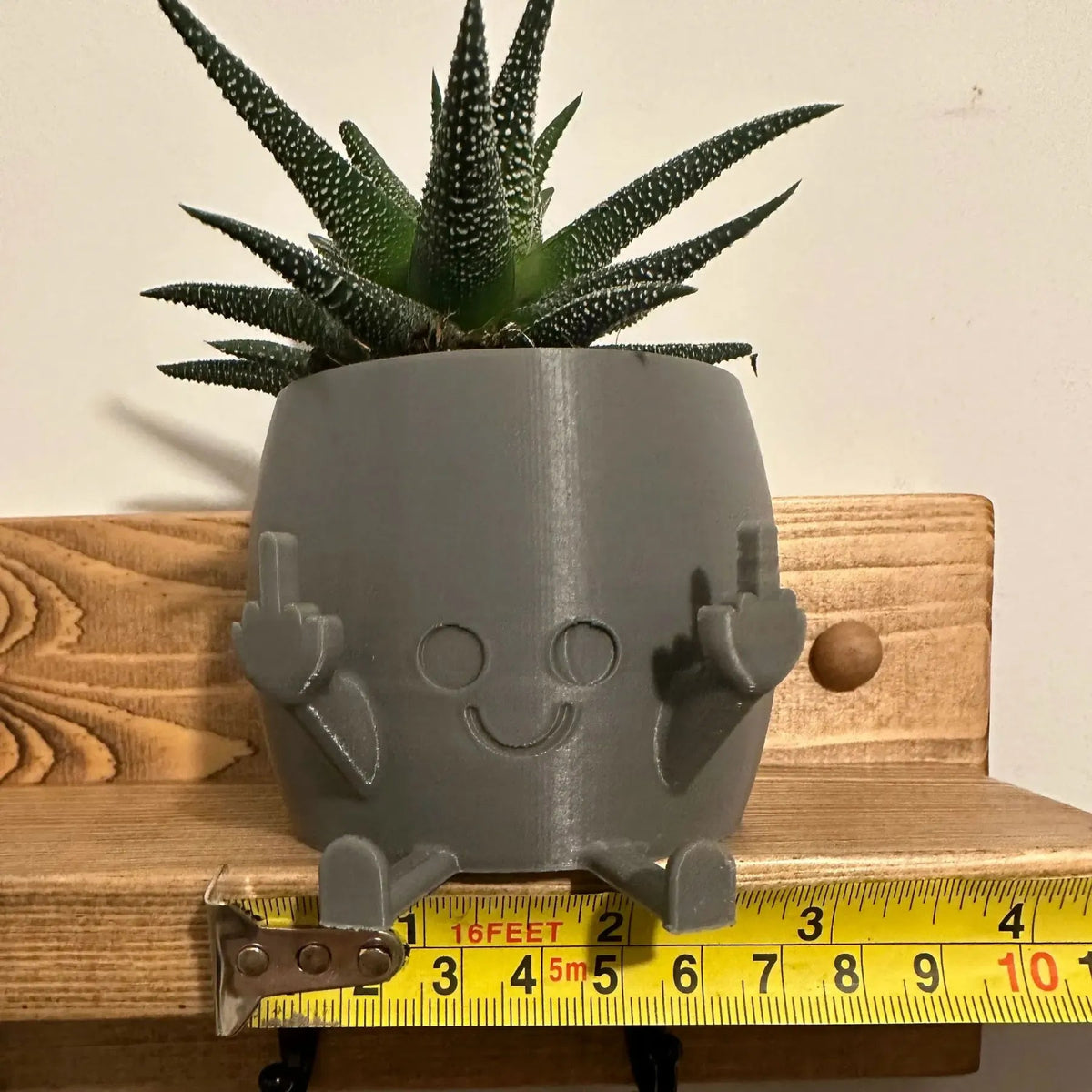 Avtoit | Smiling Plant Pot with Middle Fingers Up