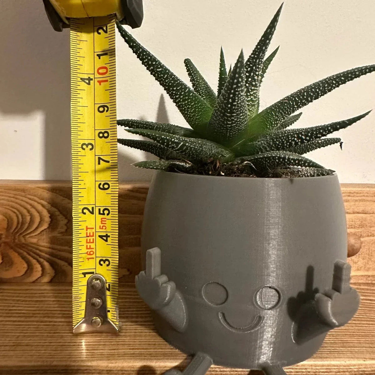 Avtoit | Smiling Plant Pot with Middle Fingers Up