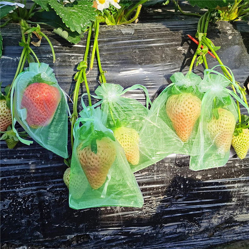 Avtoit | Fruit Protection Bag (100 PCS)