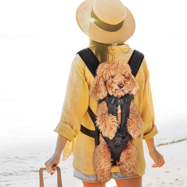 Avtoit | Dog Carrier Backpack | Ideal Canine Rucksack for Walking and Backpacking Adventures