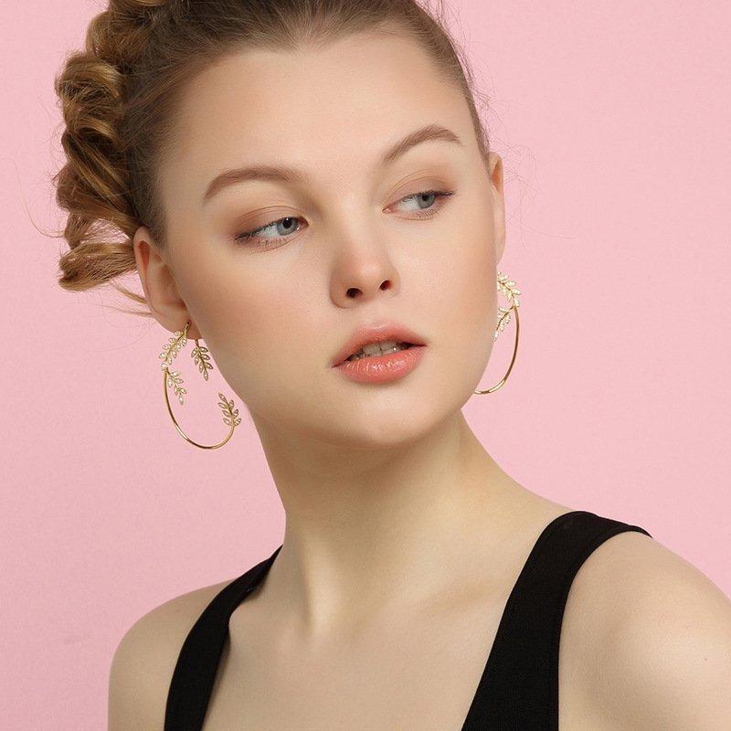 Avtoit | Shiny Zircon Earrings