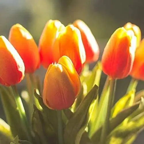 Avtoit | 10-piece set artificial tulips made of latex – stylish and durable decorative flowers
