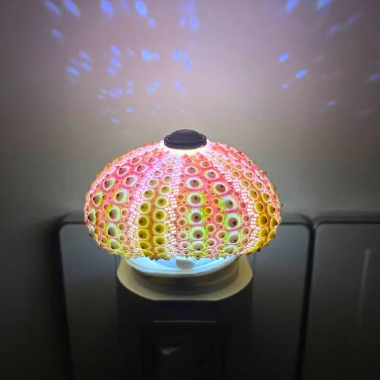 Avtoit | LumiCraft – Unique DIY table lamp with natural sea shell for a cozy décor