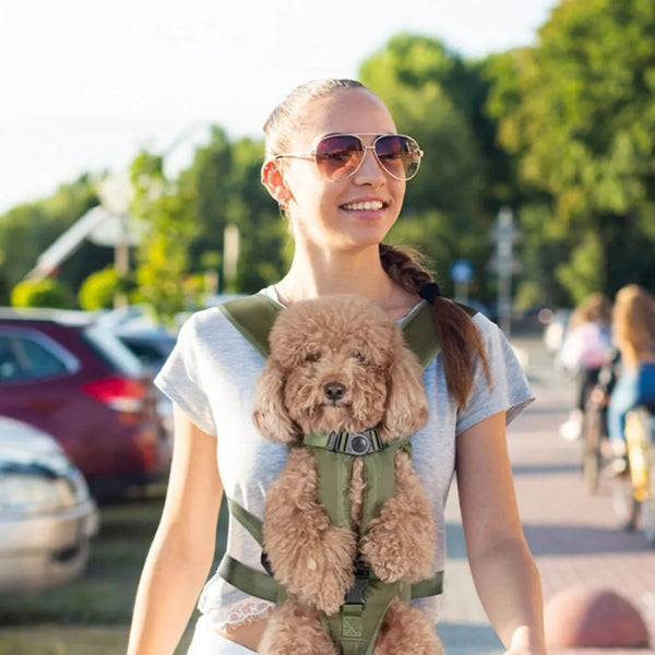 Avtoit | Dog Carrier Backpack | Ideal Canine Rucksack for Walking and Backpacking Adventures