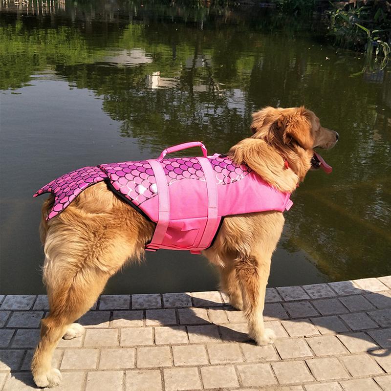 Avtoit | Dog Swim Safety Jacket
