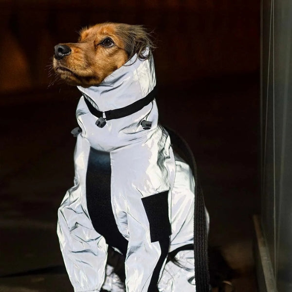 Avtoit | Waterproof Dog Coat with Legs – Reflective Dog Rain Jacket for Small & Large Breeds | Best Rain Coat for Dogs UK