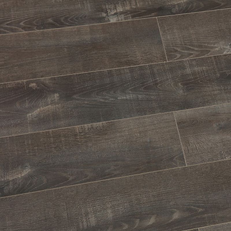 Avtoit | Modern Wood Laminate Flooring Stain Resistant Laminate Plank Floor