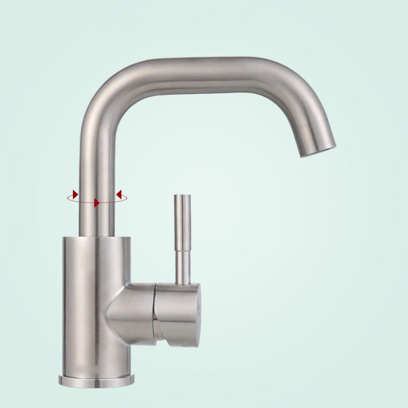 Avtoit | Swivel Bathroom Faucet Contemporary Design Vessel Faucet with Stainless Steel