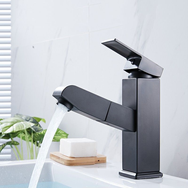 Avtoit | Contemporary Style Faucets Single Handle Swivel Spout Faucets