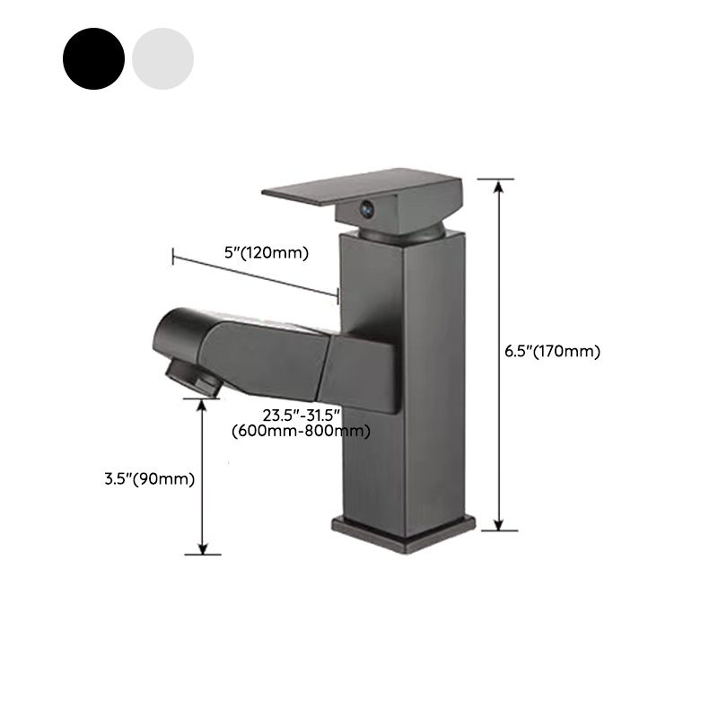 Avtoit | Contemporary Bath Faucet Brass Lever Handle Pull-Out Sink Faucet