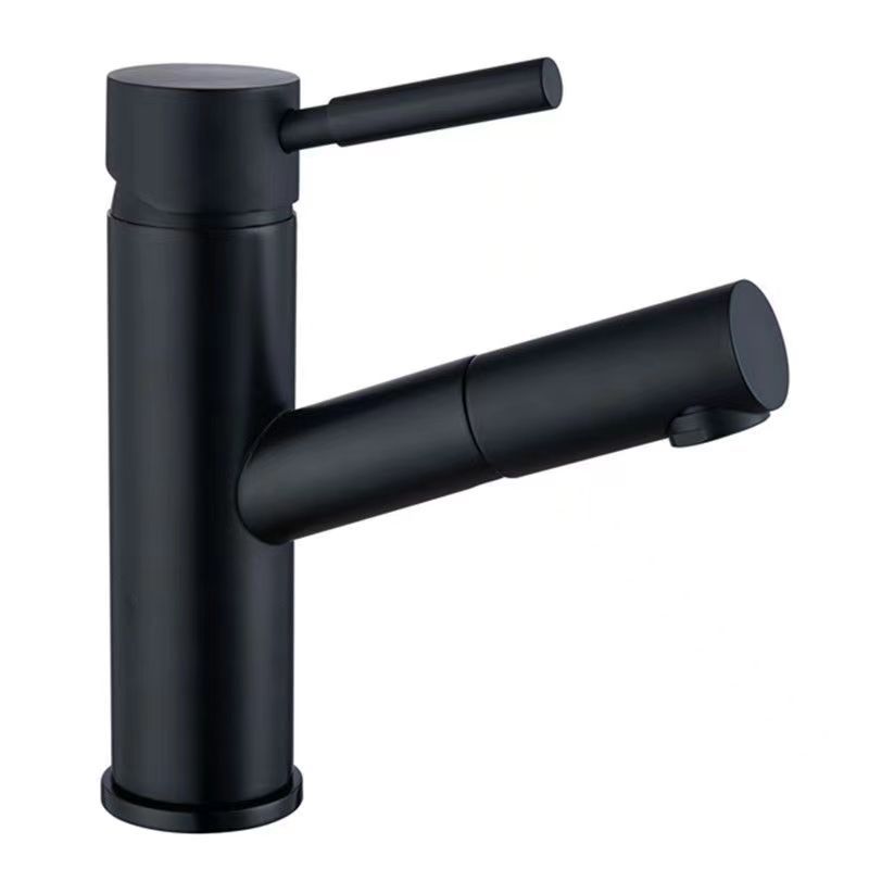 Avtoit | Pull-out Faucet Contemporary Single Lever Faucet with Swivel Spout