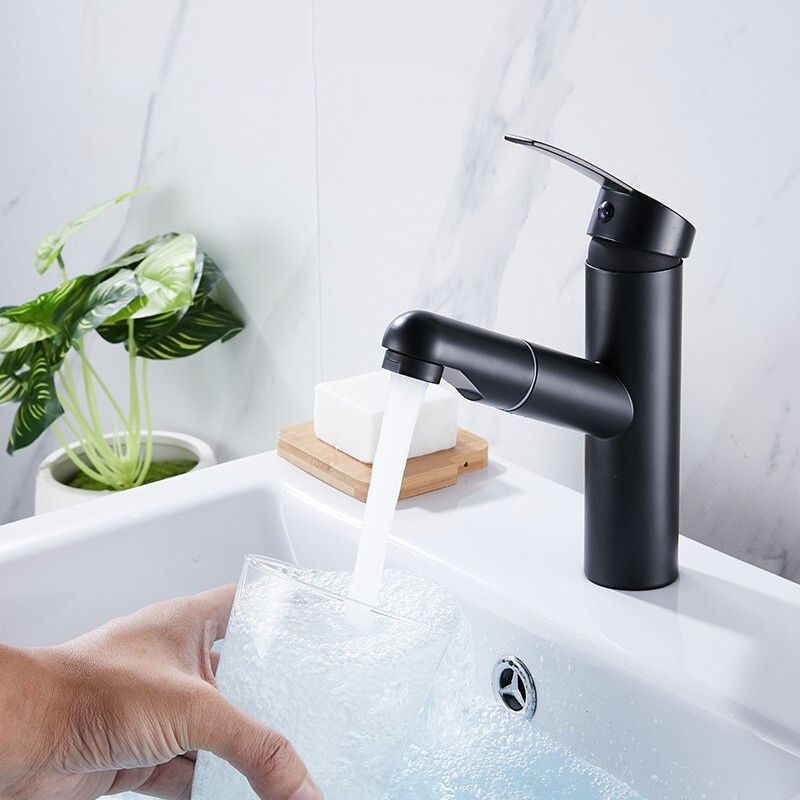 Avtoit | Contemporary Style Faucets Single Handle Swivel Spout Faucets