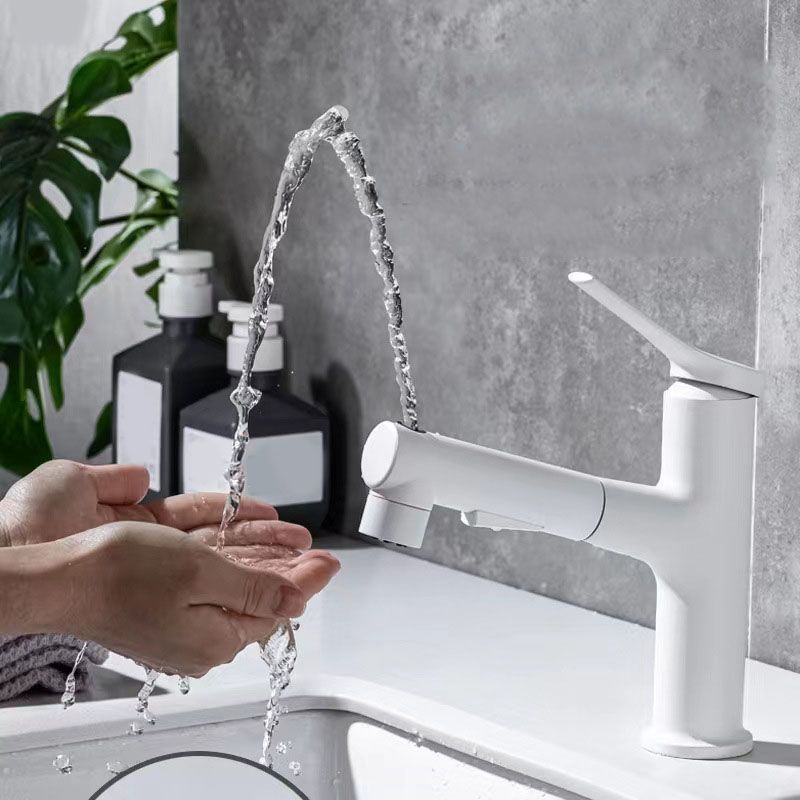 Avtoit | Contemporary Single Handle Faucet Retractable Sink Faucet with Lever Handle