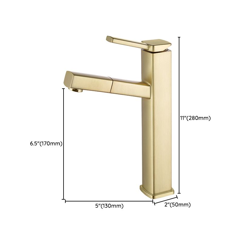 Avtoit | Glam Style Faucet Single Handle Centerset Faucet with Swivel Spout