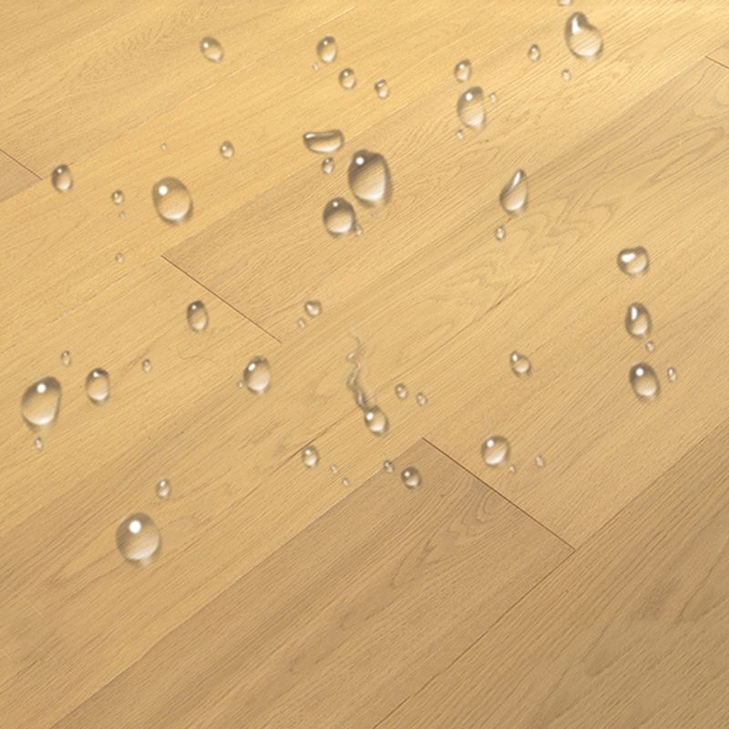 Avtoit | Modern laminate flooring waterproof click laminate flooring with wax coating