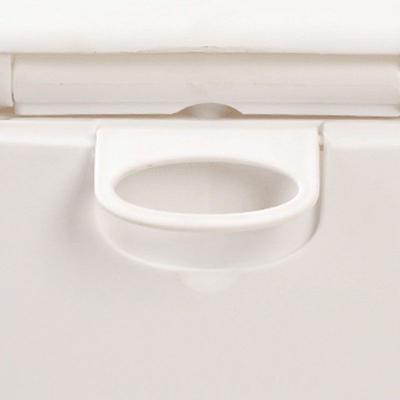 Avtoit | Contemporary Plastic Floor-Mounted Toilet Bowl with Seat for the Bathroom