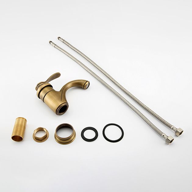 Avtoit | Brass Bathroom Vessel Sink Faucet Single Handle Round Basin Faucet with Water Hose