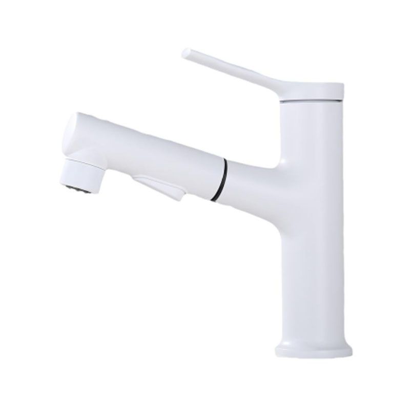 Avtoit | Contemporary Single Handle Faucet Retractable Sink Faucet with Lever Handle