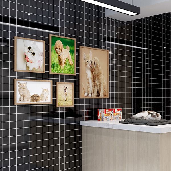 Avtoit | Single Tile Wallpaper Peel and Stick Wall Tile with Rectangular Shape