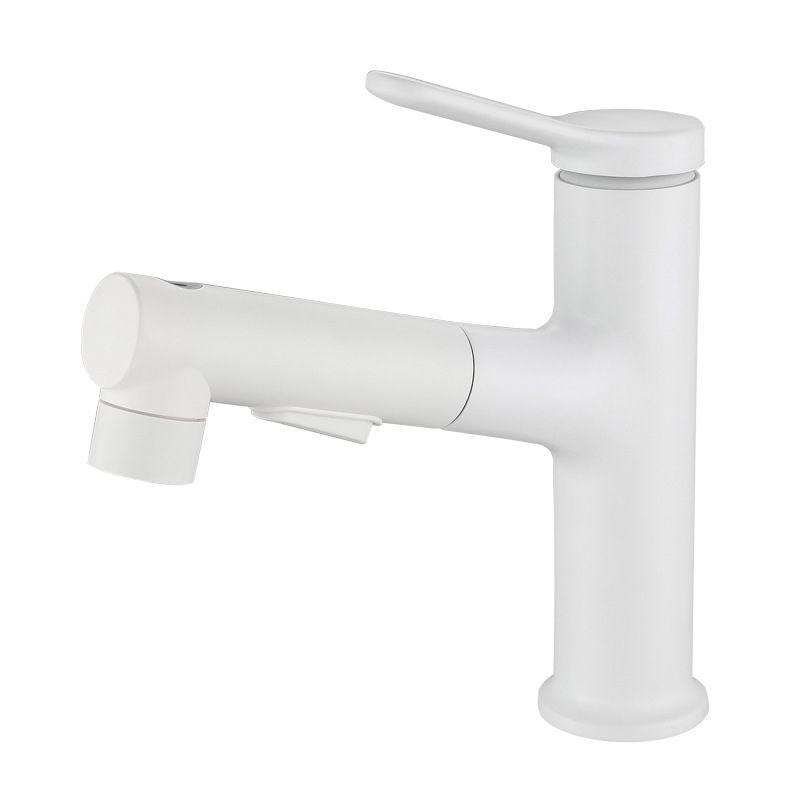 Avtoit | Modern Extendable Sink Faucet Bathroom Faucet Brass 1 Handle Sink Faucet with Water Hose
