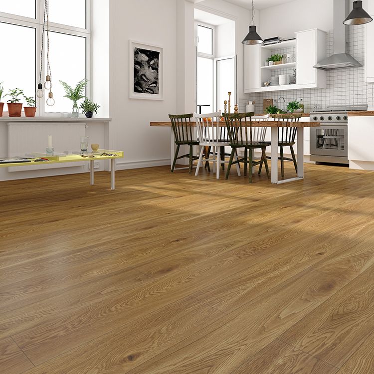 Avtoit | Contemporary Laminate Floor Light Color Wood Laminate Floor