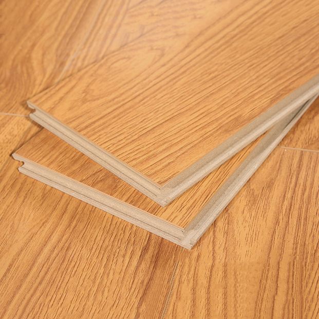 Avtoit | Contemporary Laminate Flooring Light Color Wood Laminate Flooring